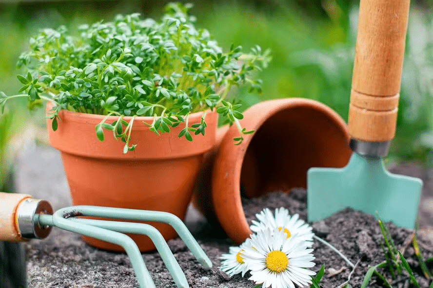 Aprenda Jardinagem
